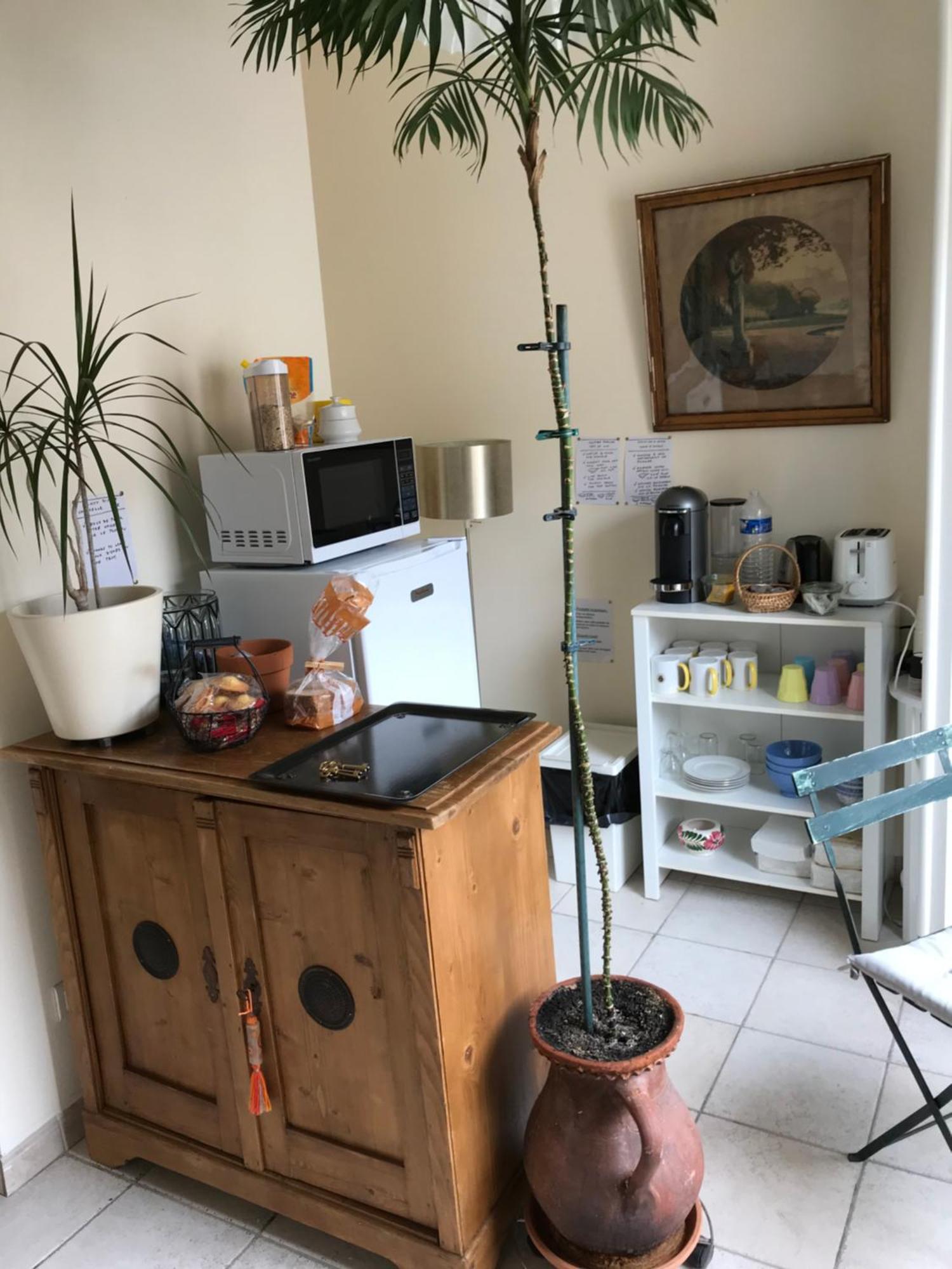 Chambre Japonaise Montpellier Luaran gambar